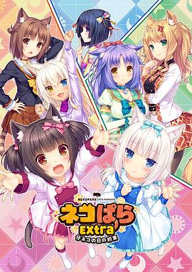 一级日韩片