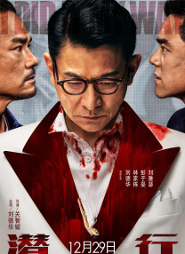 五月情网